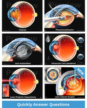 Load image into Gallery viewer, Doctor-Patient Consultation Illustrations